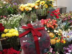 -植物学家的女儿(北马道巷店)