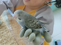 -怪兽屋·羊驼·猫咖·狗咖(俊华广场店)