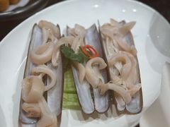 蛏子王-協成海鮮火鍋(老店)