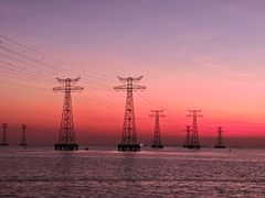 -宝安西湾红树林湿地公园