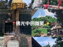 -悦城龙母祖庙