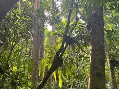 -中国科学院西双版纳热带植物园