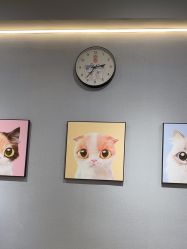 -洗脸猫·洗脸吧