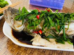 -百岁鱼(七一路店)