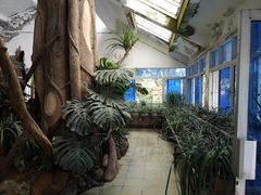 -南山植物园