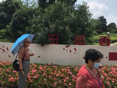 -铁山坪森林公园