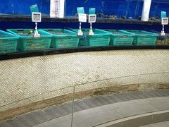 -七鲜超市(万向城店)