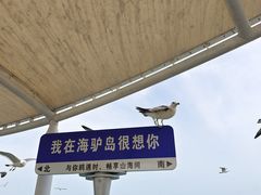 -海驴岛(荣成市)