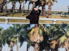 -海堤纪念公园