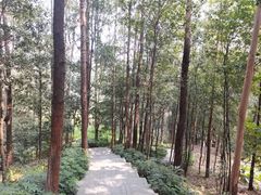 -火炉山森林公园