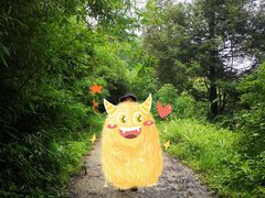 -铁山坪森林公园