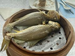 -马哥孛罗咖啡厅·Cafe Marco (厦门马哥孛罗东方大酒店)