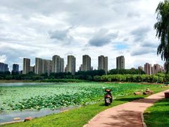 -丁香湖公园