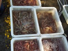 -先锋海鲜市场