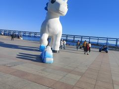 -黑石礁公园