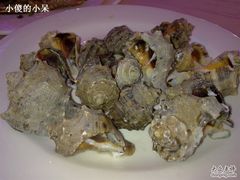 海螺-海岛渔村大酒店(云霄路店)