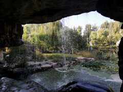 -燕郊植物园