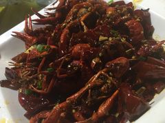 -海岛八号龙虾烧烤田鸡(蓝天路总店)