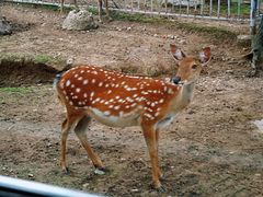 -西安秦岭野生动物园