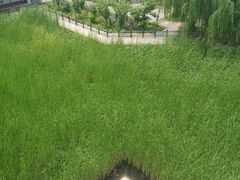 -河北村民俗体验园