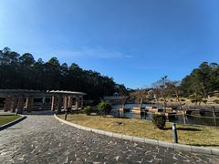 -南国桃园旅游度假区