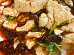 新繁牛肉豆花-新繁牛肉豆花(都江堰店)