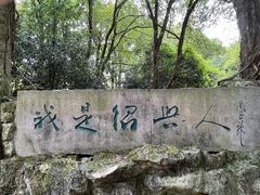 -鲁镇