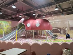 -宝燕乐园(春申店)