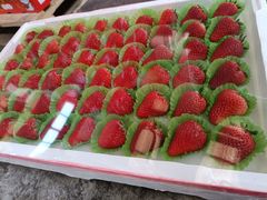 -西郊国际农产品交易中心