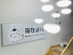 用餐区-猫在这儿猫咪咖啡馆·撸猫馆