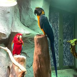 -Zoolung Zoolung动物主题公园(海信广场店)