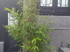 -缥缈峰景区