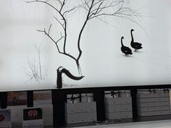 -BLACKSWAN黑天鹅(环球店)