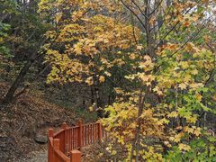 -玉渡山自然风景区