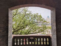-江心屿景区