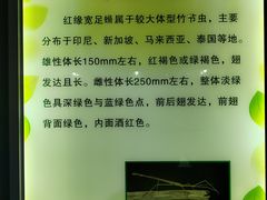 -上海昆虫博物馆