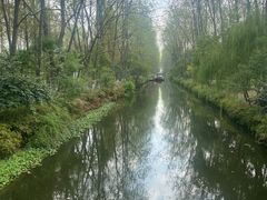 -合肥滨湖国家森林公园