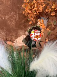 -小阿福儿童摄影(华中智谷店)