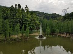 -广州市帽峰山景区