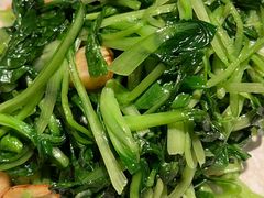 -T館·花园艺术餐厅
