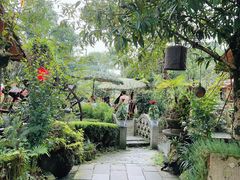 -青城甲(青城山店)