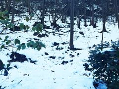 -南京市江宁方山