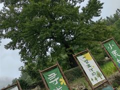 -塔川景区