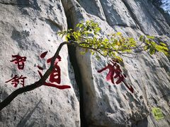 -马遂林烩面馆(少室路店)