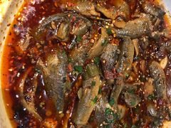-情妹耙泥鳅·江湖川菜(科华店)