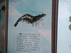 -厦门市图书馆(集美新城馆区)