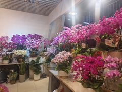 -双季花艺园艺市场(浦东店)