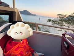 -Big Bus Tours 敞篷观光巴士