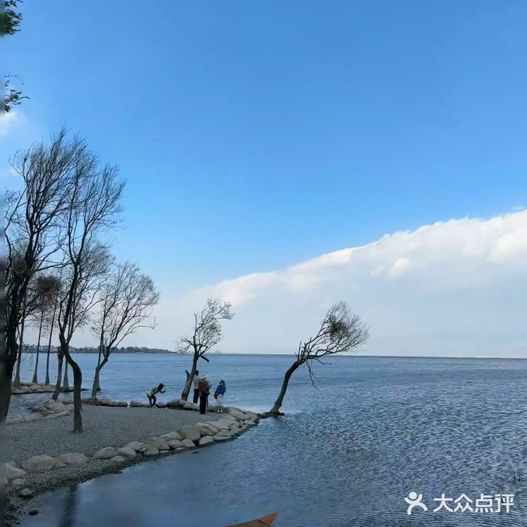 在这个咖啡店看着洱海发半天呆