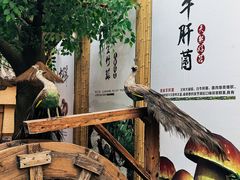 -大理董·董家小厨野生菌火锅(古城旗舰店)